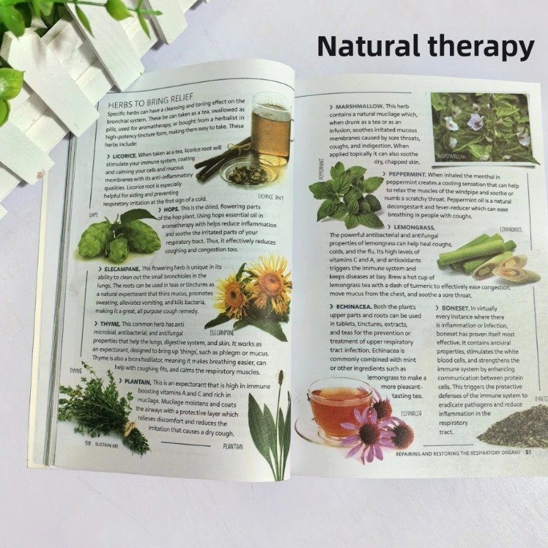 Sustain Me Barbara O'Neill A H - огляд і ціна Health Wellness And Lifestyle