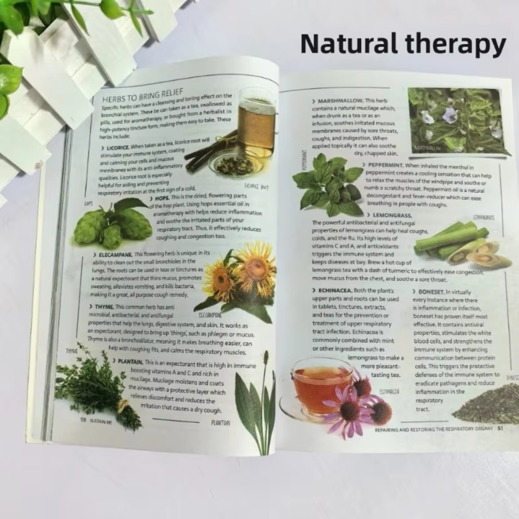 Sustain Me Barbara O'Neill A H - огляд і ціна Health Wellness And Lifestyle
