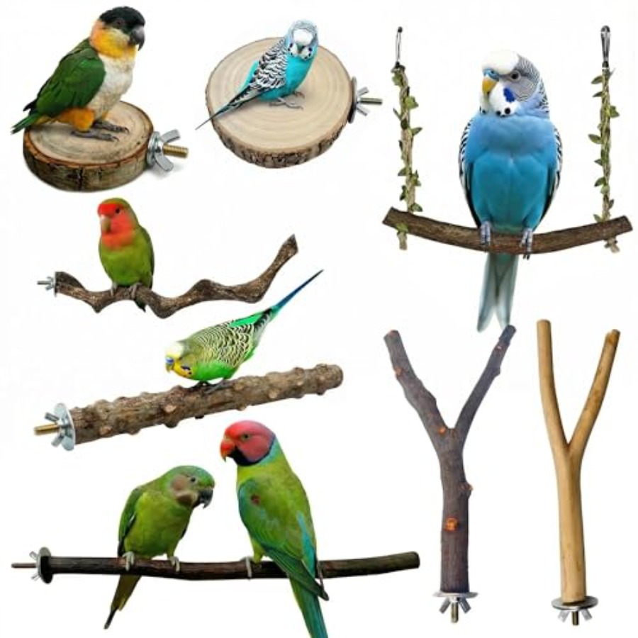 8PCS natural wood bird perches - огляд і ціна Health & Wellness Services At Western University London Reviews