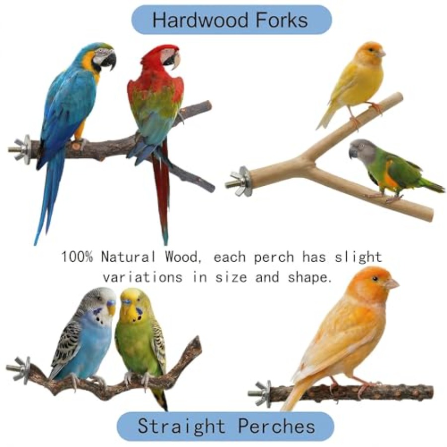 8PCS natural wood bird perches - огляд і ціна Health & Wellness Services At Western University London Reviews
