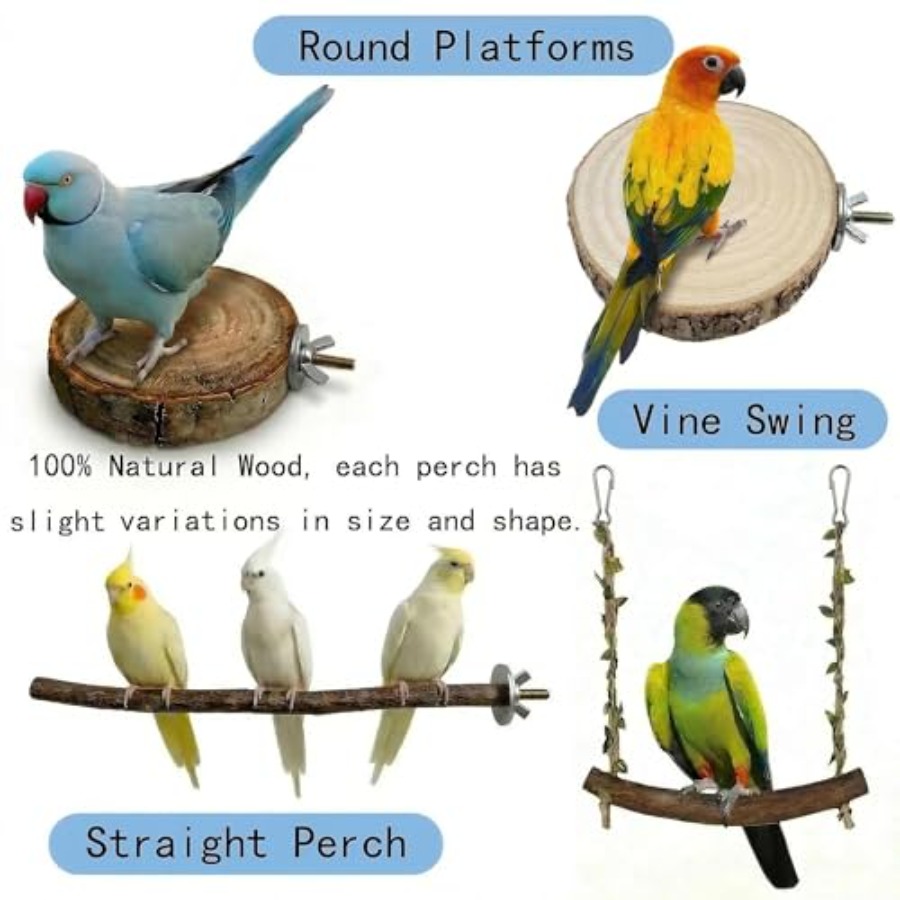 8PCS natural wood bird perches - огляд і ціна Health & Wellness Services At Western University London Reviews